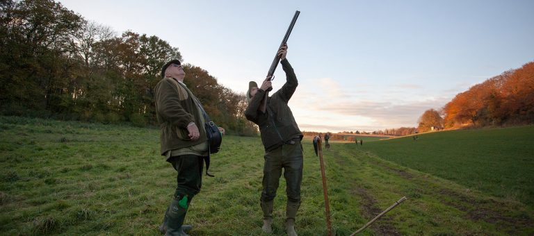 Pheasant Shooting